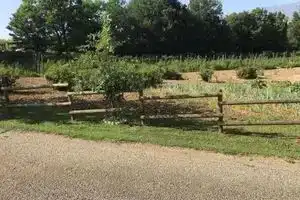 Agriturismo Fattoria Antica Forconia, Л'Акуила