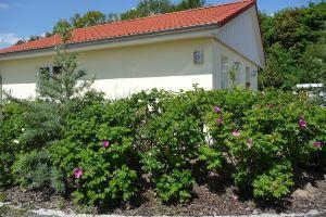 family-friendly, comfortable accommodation, 2 terraces, 200 m to the beach, Пельцерхакен
