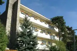 Hotel «Fenyves Panorama», Печ