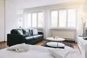 Bright Furnished Apartment with Pocket Wifi, Цюрих