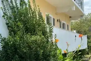 Full House Kavos, Кавос