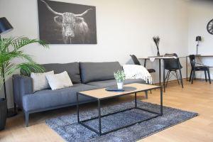 Charming Homes - Studio 25, Вольфсбург