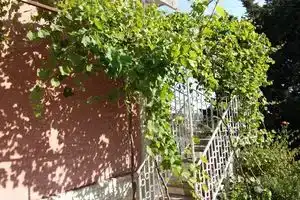 Porodicna Kuca Corbic, Бар