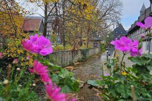 Dehn vacation apartment in the historic Ritter Ramm, Гослар