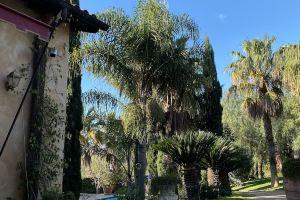 Magnificent Luxury Villa in Rome. Private pool and large garden., Рим