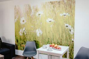 Apartments Zelny TRH III, Брно