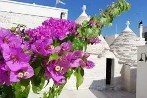 Trulli Bbalberobello Centro Con Parcheggio Gratis, Альберобелло