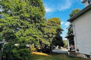 4-bedroom farmhouse in Clarendon Walk to Metro, Shops, Nightlife Best Location, Вашингтон