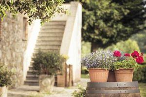 Ферма «Agriturismo Pomonte», Орвието