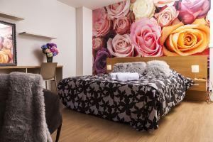 Roses Apartment, Брно