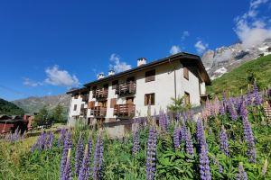 Ski-in-ski-out for 10-12 people 2 apartments, Брёй-Червиния