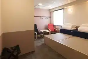 Wild Cherry Blossom-Hostel,Tokyo Koganei-, Токио