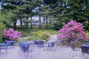 Sweet Stopover-5 star-DT Blowing Rock -walk to everything/3rd floor/balcony!, Блоуинг-Рок