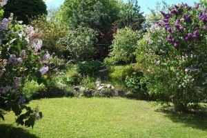 4 - apartment, large garden and terrace with beach chair; quiet outskirts, Хайлигенхафен