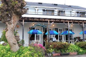 Pension after d's, Атами