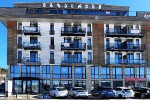 Stylish 1-bedroom apartment in Bakuriani ski resort, Бакуриани