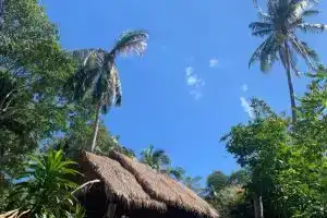 Отель «Little Eden Bungalows», Остров Чанг