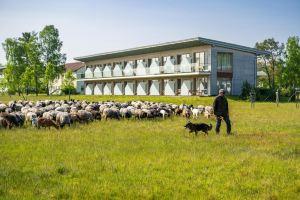 Hotelcamp Reinsehlen, Шнефердинген
