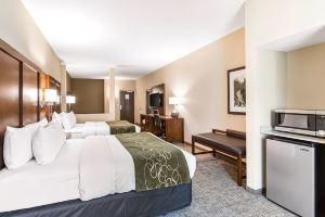 Comfort Suites Denver Near Anschutz Medical Campus, Аврора