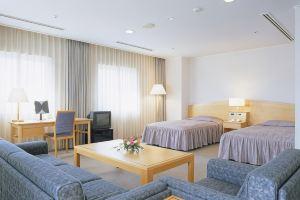 Kawasaki International Center Hotel, Кавасаки