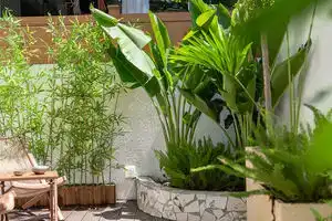 Nan Feng Ju Homestay, Ханчжоу