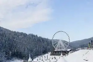 Glacier Premium Apartments, Буковель