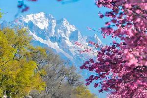 Golden Jade · Four Seasons Yunqi Light Luxury Resort Homestay, Лицзян