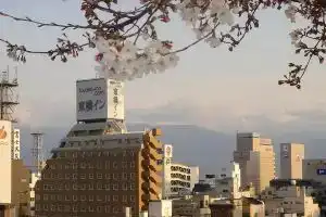 Toyoko Inn Kofu-eki Minami-guchi No.1, Кофу