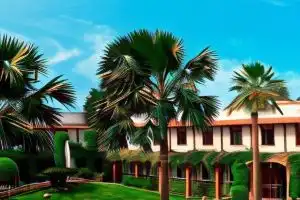 Гостиницы Гостиницы