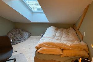 Room in large apartment, Осло
