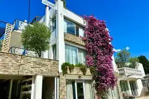 Angel Apartments, Бар