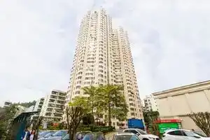 深圳娜杰的绿植小屋, Шэньчжэнь