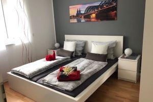 Flat de Cologne, Кёльн