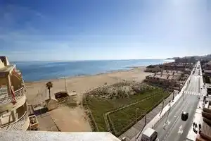 The Best Terrace in La Mata, Торревьеха