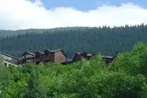 Svaneti Apartment's, Местиа
