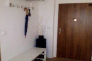 Studio Stara, Брно