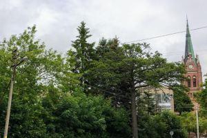 Apartment Heart of Palanga, Паланга