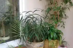 Apartment on Kabyaka, Гродно