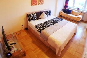 Old Town Apartment Pellicova II, Брно