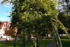 Homestay Podebrady, Подебрады