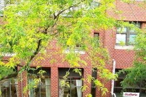 CGN Apartments - Altstadt, Кёльн