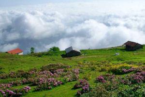 Trabzon Grand Suites 2, Трабзон