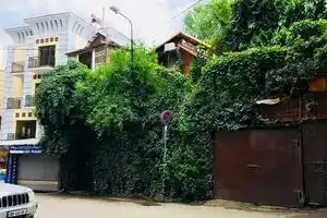 Tania's Home, Тбилиси