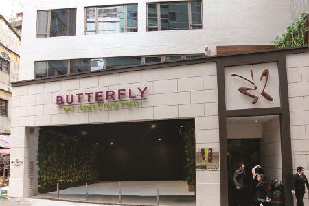 Butterfly on Wellington Boutique - 8