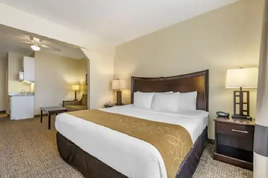 Comfort Suites Maingate East - 50
