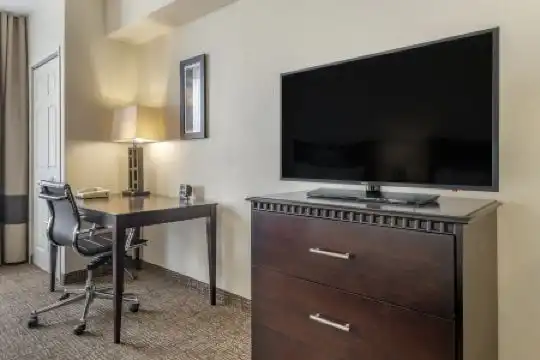 Comfort Suites Maingate East - 56