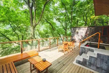 Bolian Resorts & SPA Chongqing - 29