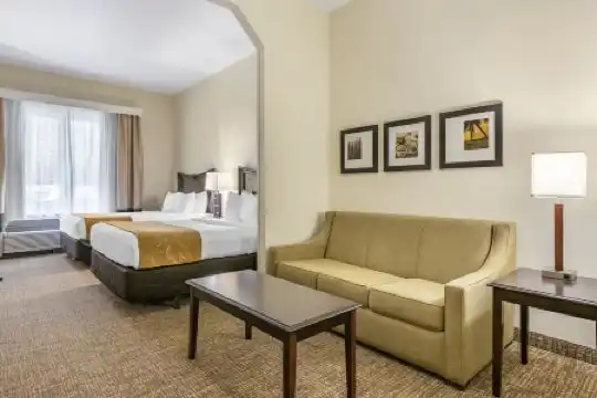 Comfort Suites Maingate East - 57
