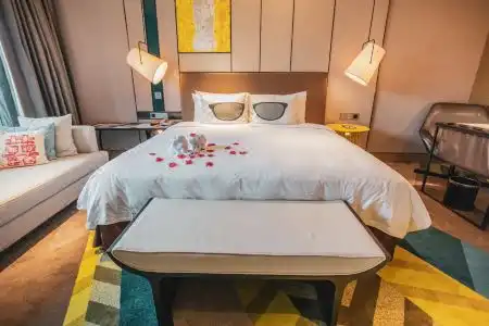 MiniMax Premier Shanghai Hongqiao - 96