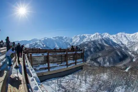 haluta hakuba - 6